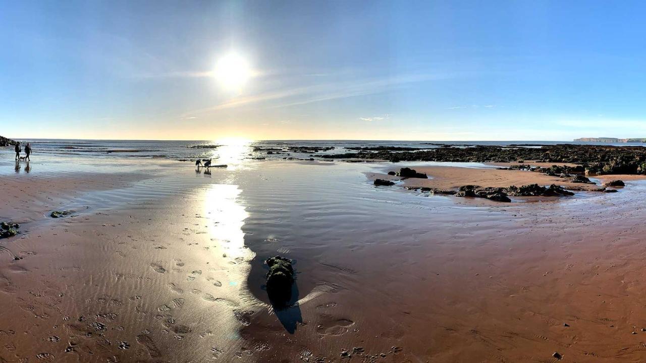 Shippen Cottage - Perfect For Couples Or Families Sidmouth Bagian luar foto